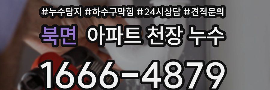 북면 아파트 천장 누수