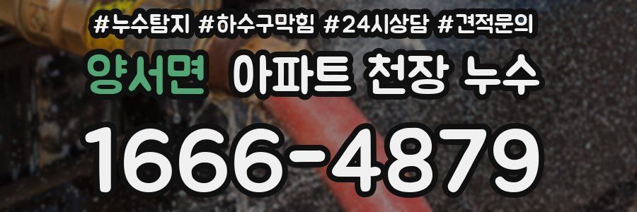 양서면 아파트 천장 누수