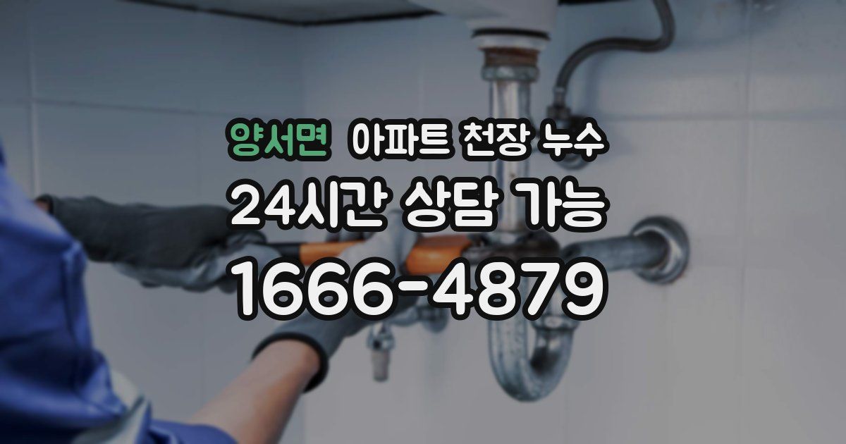양서면 아파트 천장 누수