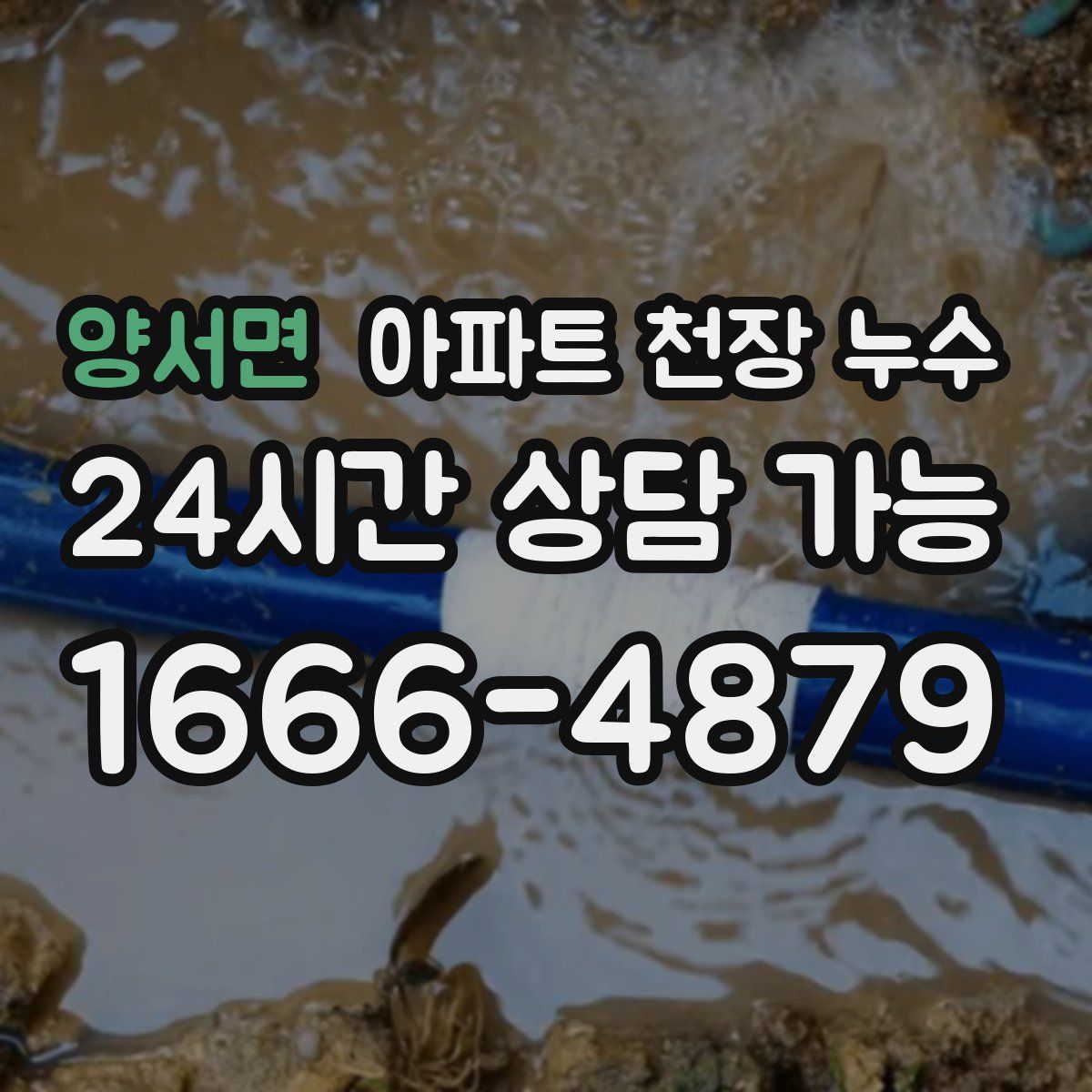 양서면 아파트 천장 누수