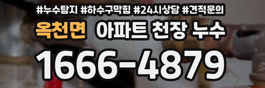 옥천면 아파트 천장 누수