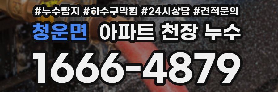 청운면 아파트 천장 누수