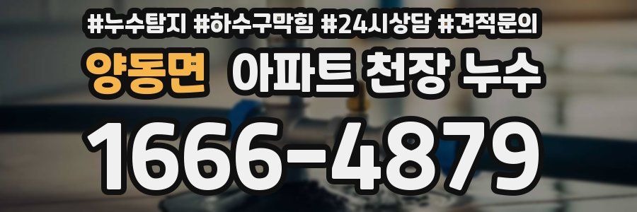 양동면 아파트 천장 누수