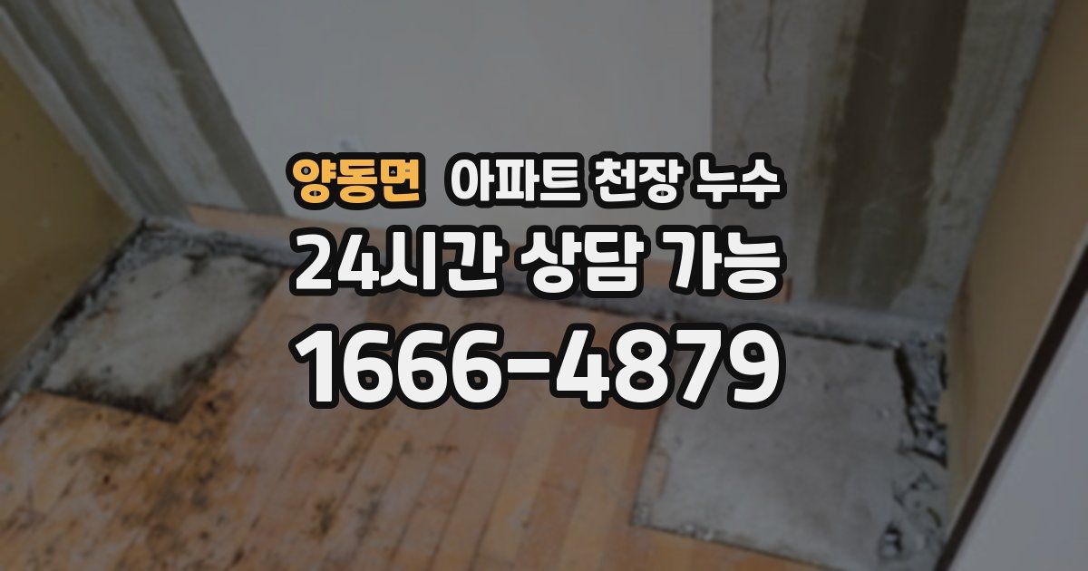 양동면 아파트 천장 누수
