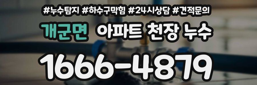 개군면 아파트 천장 누수