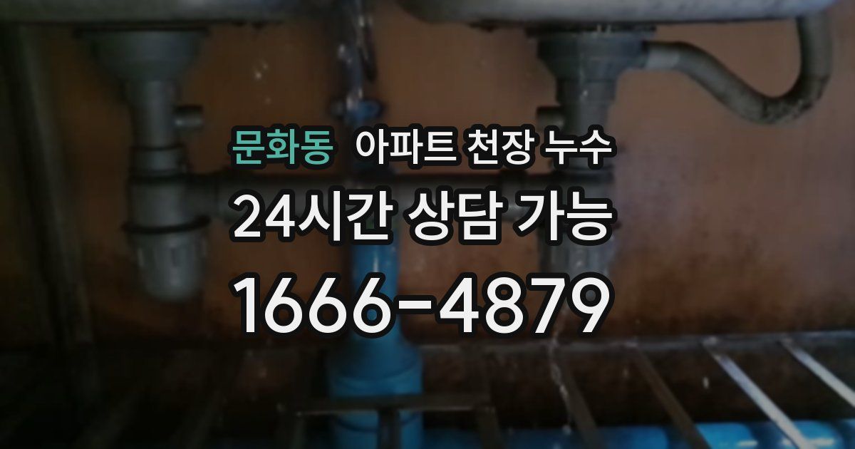 문화동 아파트 천장 누수