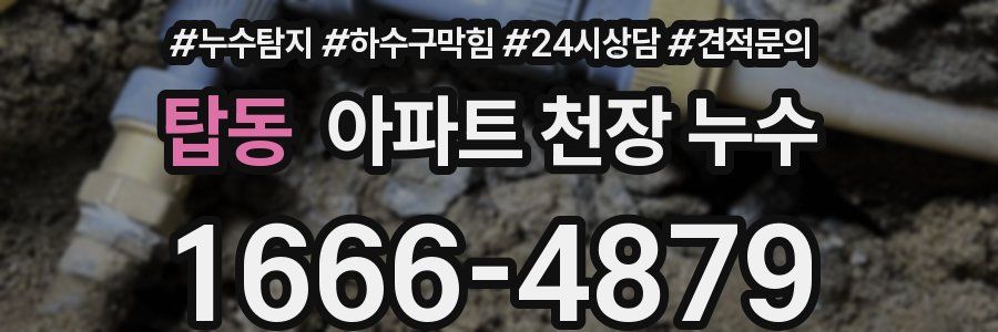 탑동 아파트 천장 누수