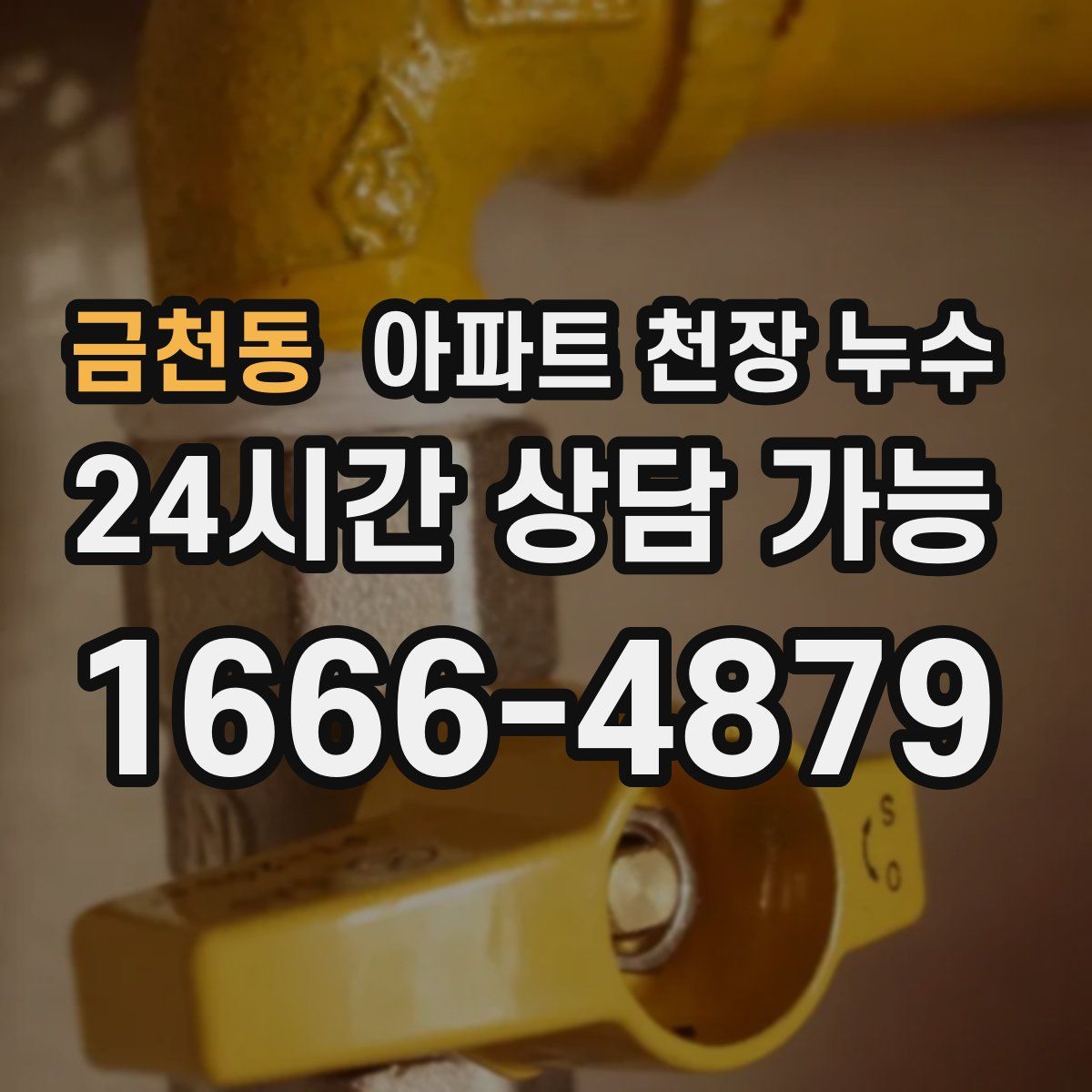 금천동 아파트 천장 누수