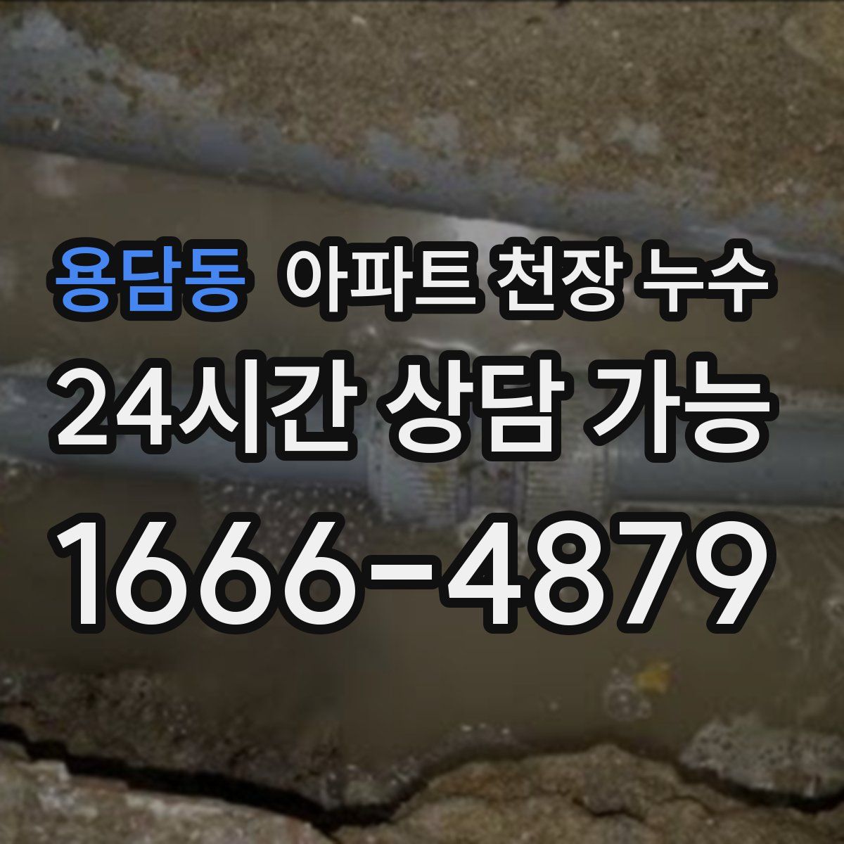 용담동 아파트 천장 누수