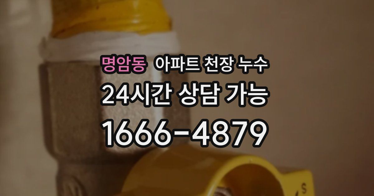 명암동 아파트 천장 누수