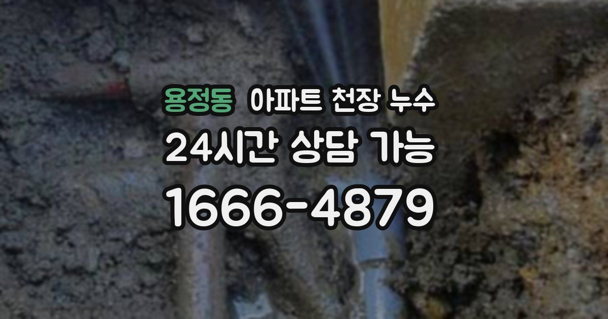 용정동 아파트 천장 누수