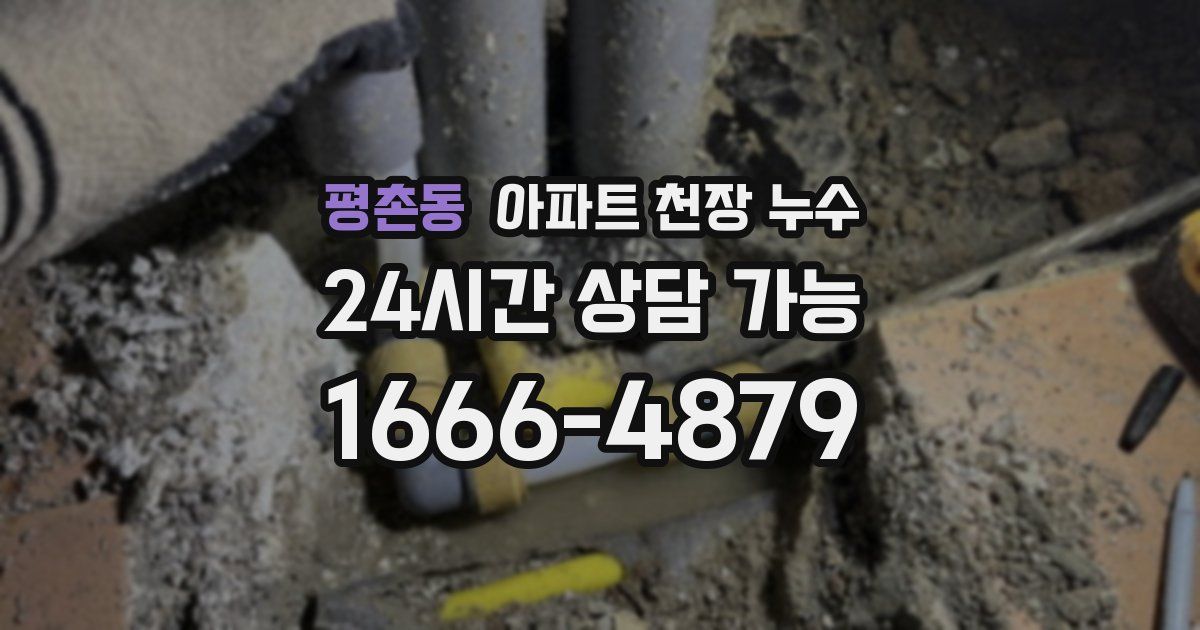 평촌동 아파트 천장 누수