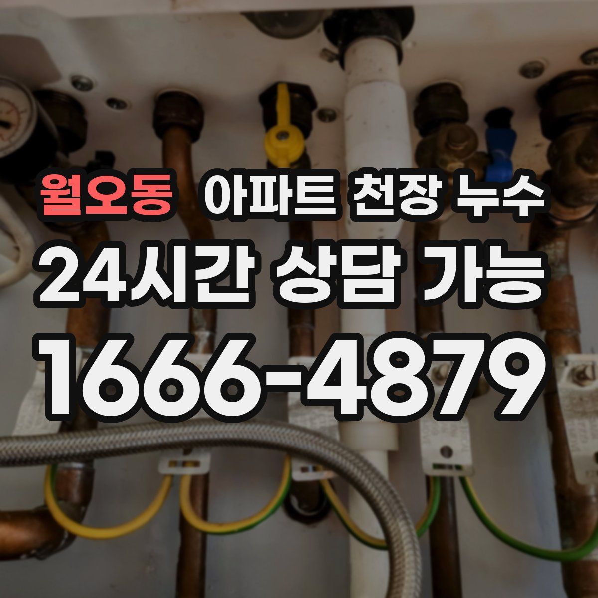 월오동 아파트 천장 누수