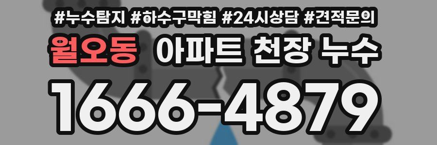 월오동 아파트 천장 누수