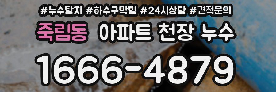 죽림동 아파트 천장 누수