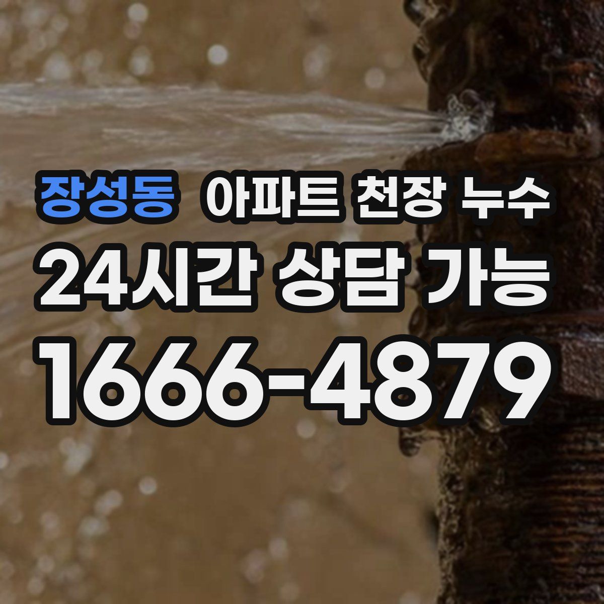 장성동 아파트 천장 누수