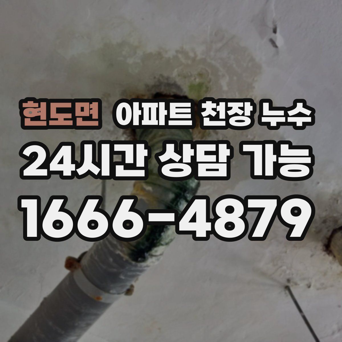 현도면 아파트 천장 누수