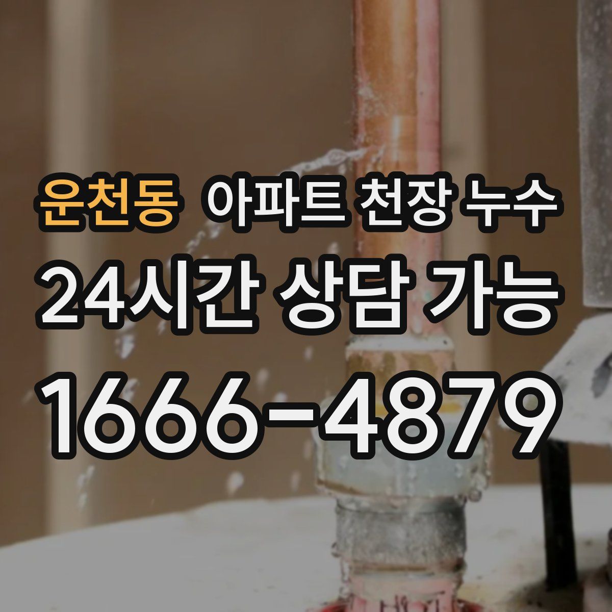 운천동 아파트 천장 누수