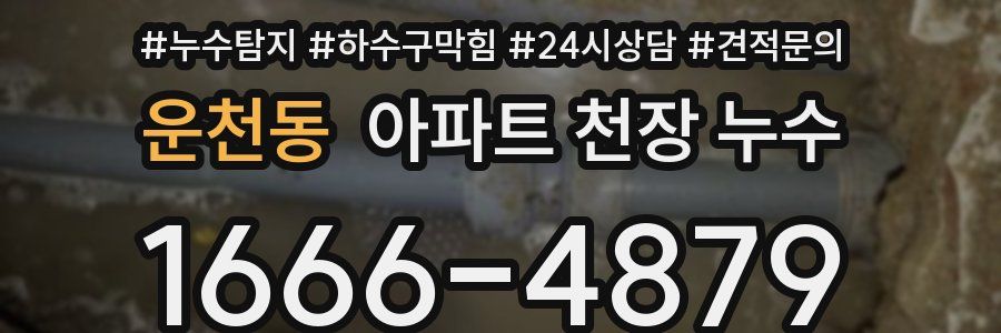 운천동 아파트 천장 누수