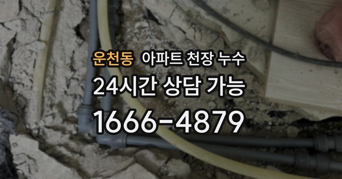 운천동 아파트 천장 누수