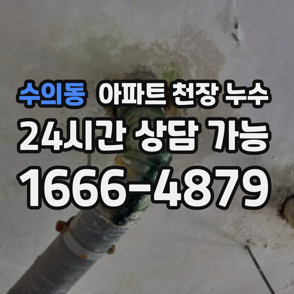 수의동 아파트 천장 누수