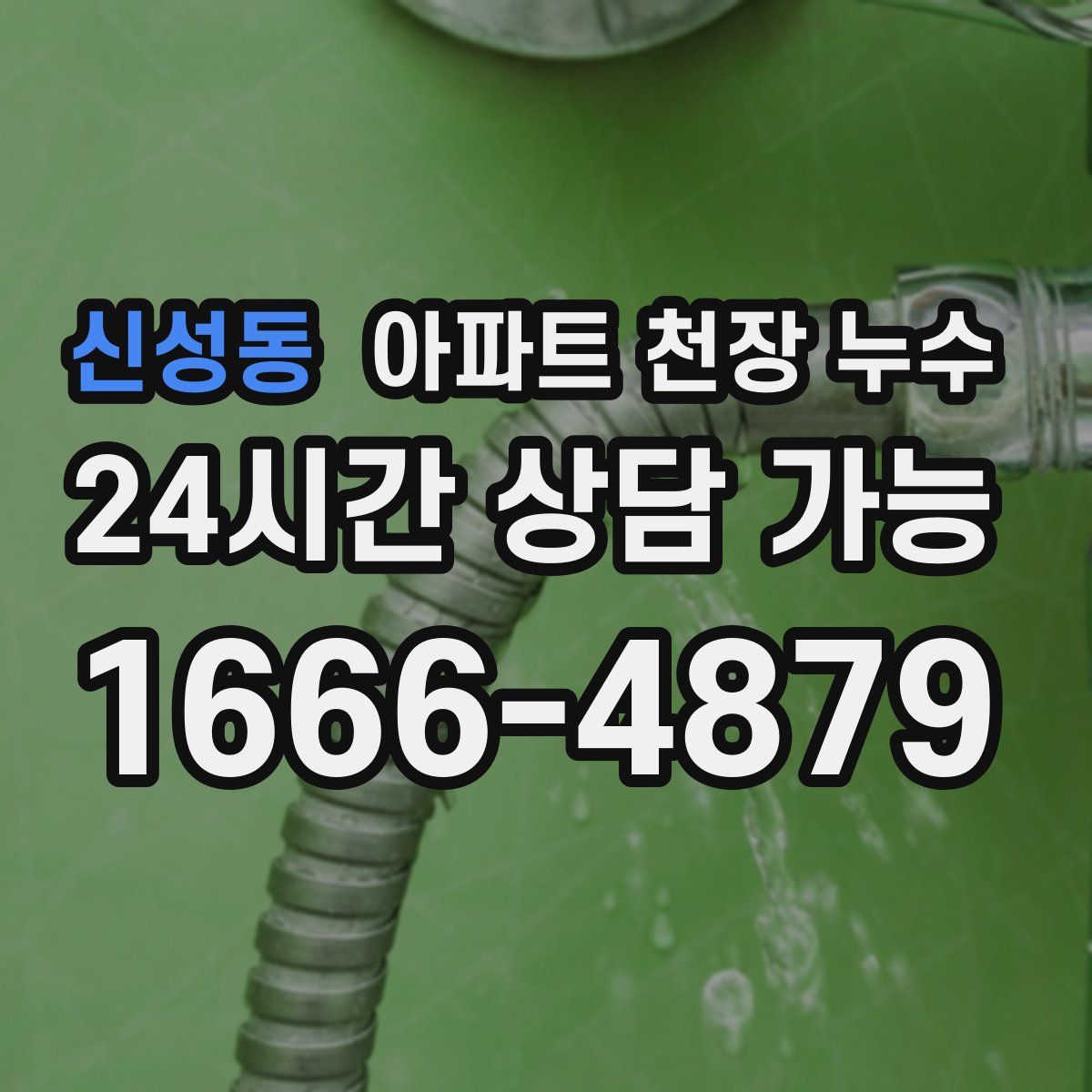 신성동 아파트 천장 누수