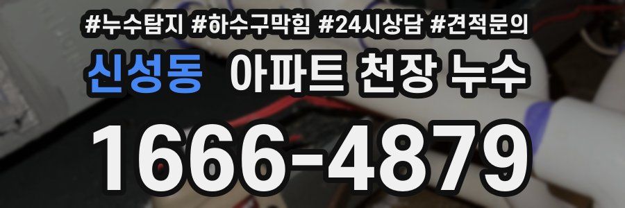 신성동 아파트 천장 누수
