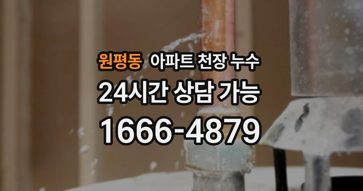 원평동 아파트 천장 누수