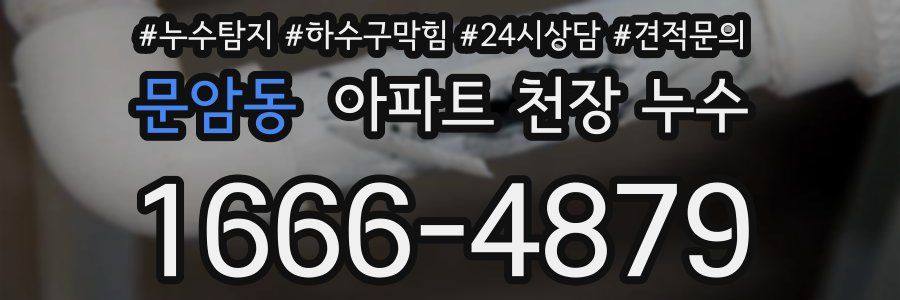 문암동 아파트 천장 누수