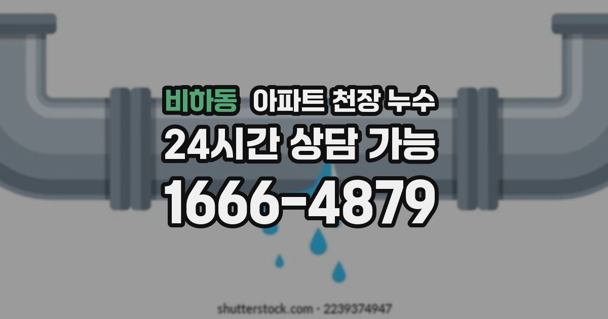 비하동 아파트 천장 누수