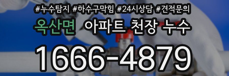옥산면 아파트 천장 누수