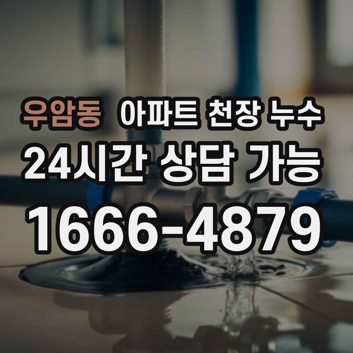 우암동 아파트 천장 누수