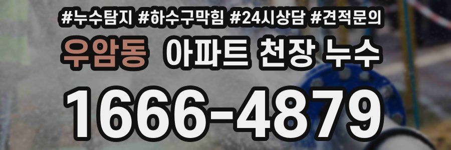 우암동 아파트 천장 누수