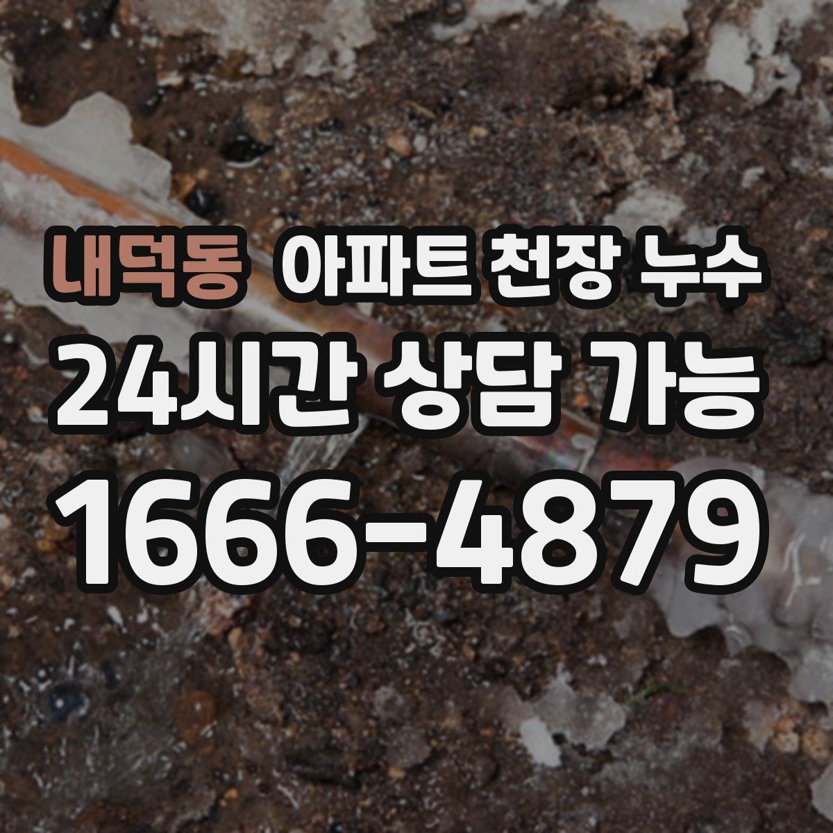내덕동 아파트 천장 누수
