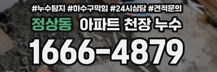 정상동 아파트 천장 누수