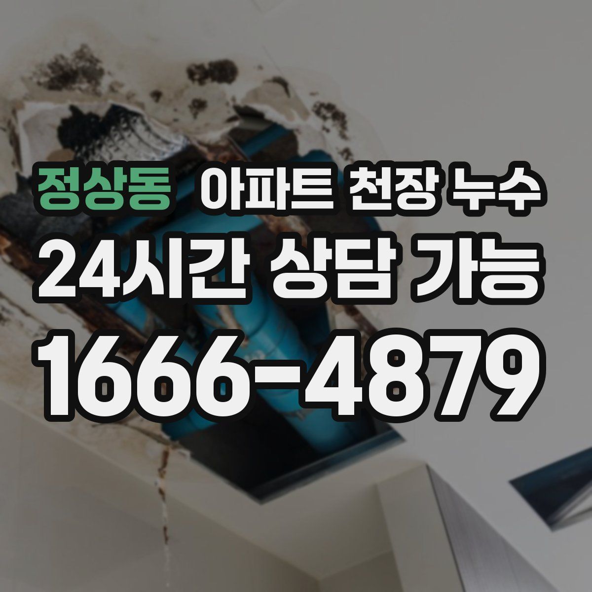 정상동 아파트 천장 누수