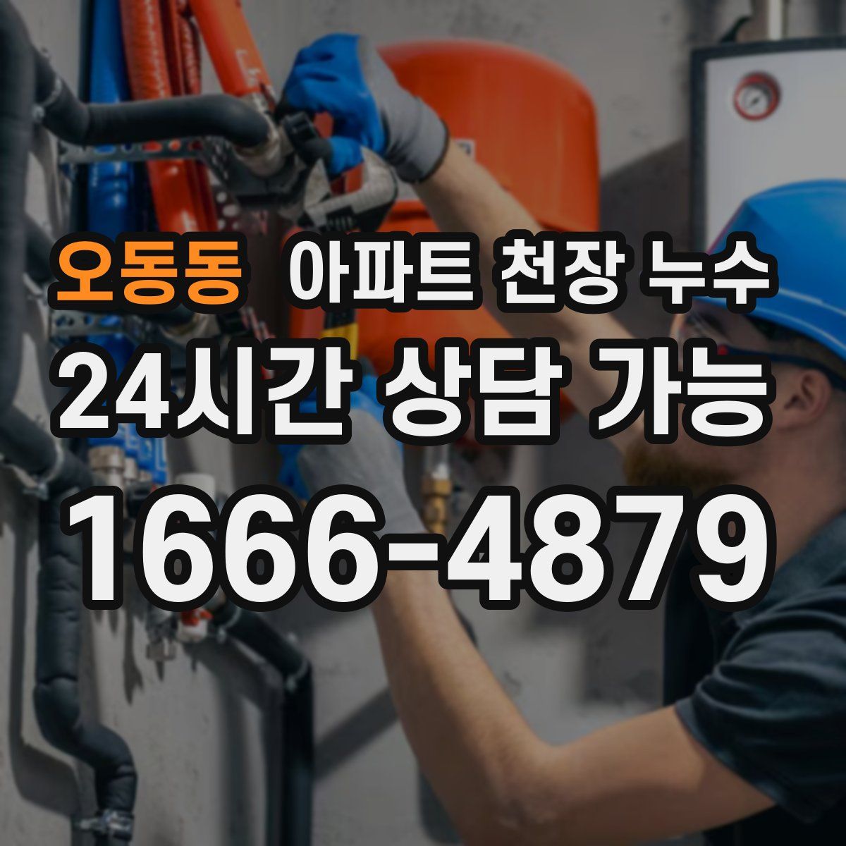 오동동 아파트 천장 누수