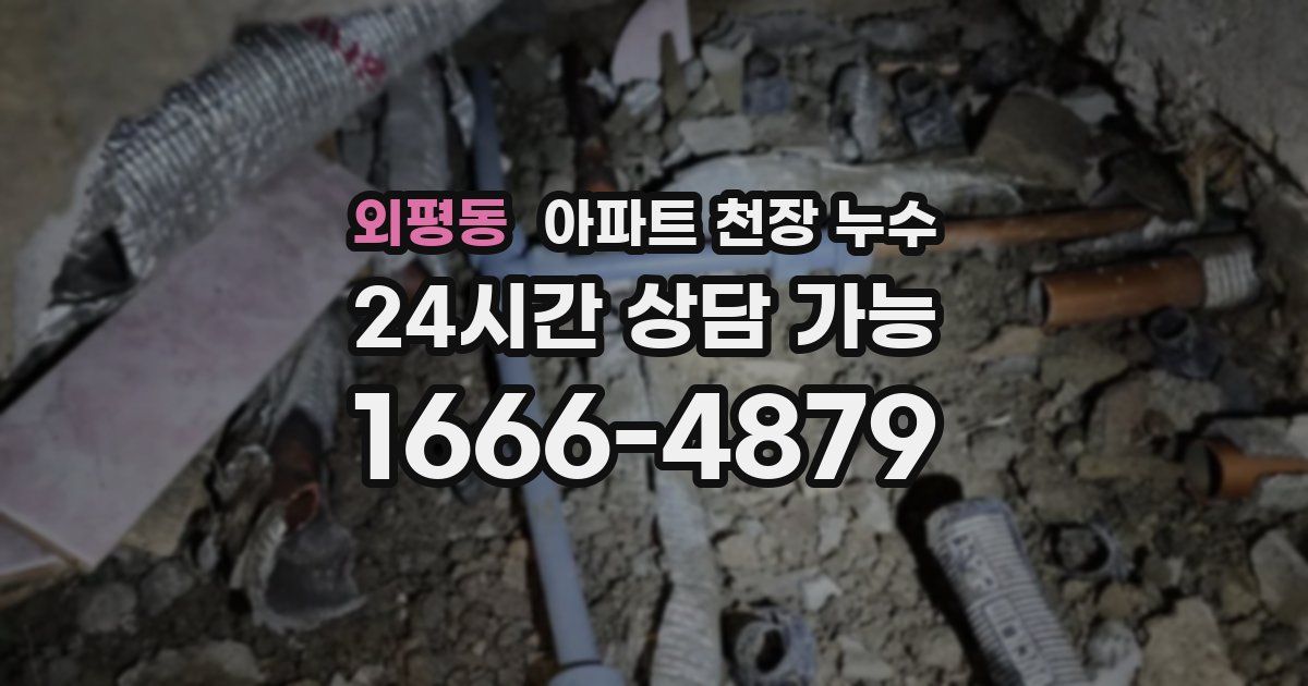 외평동 아파트 천장 누수