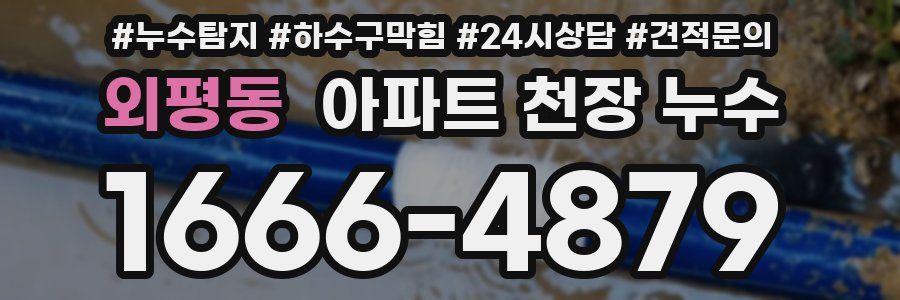 외평동 아파트 천장 누수