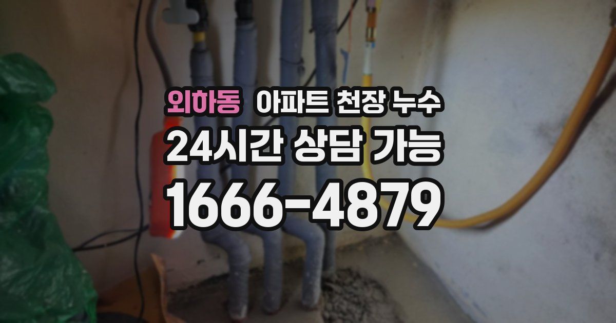 외하동 아파트 천장 누수