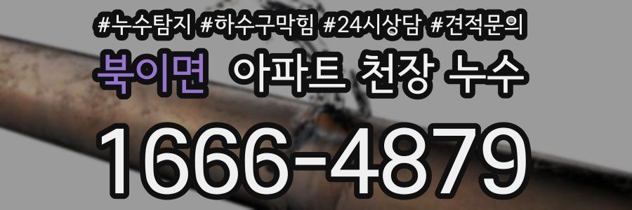 북이면 아파트 천장 누수