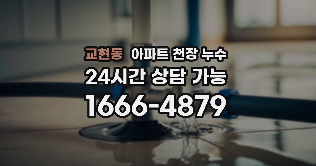 교현동 아파트 천장 누수