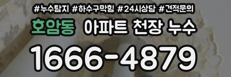 호암동 아파트 천장 누수