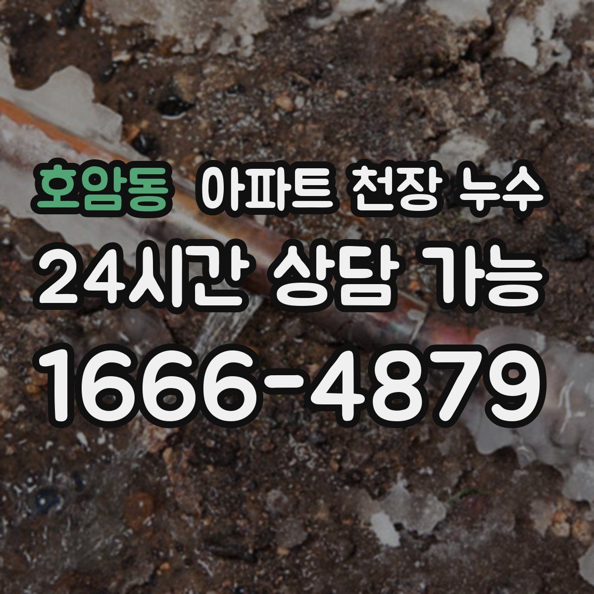 호암동 아파트 천장 누수