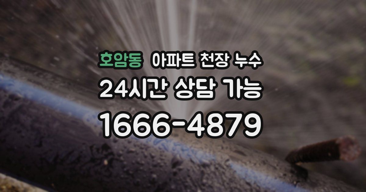 호암동 아파트 천장 누수