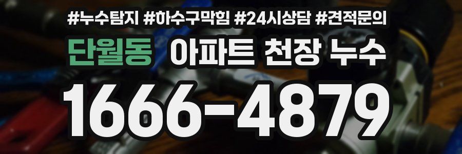 단월동 아파트 천장 누수