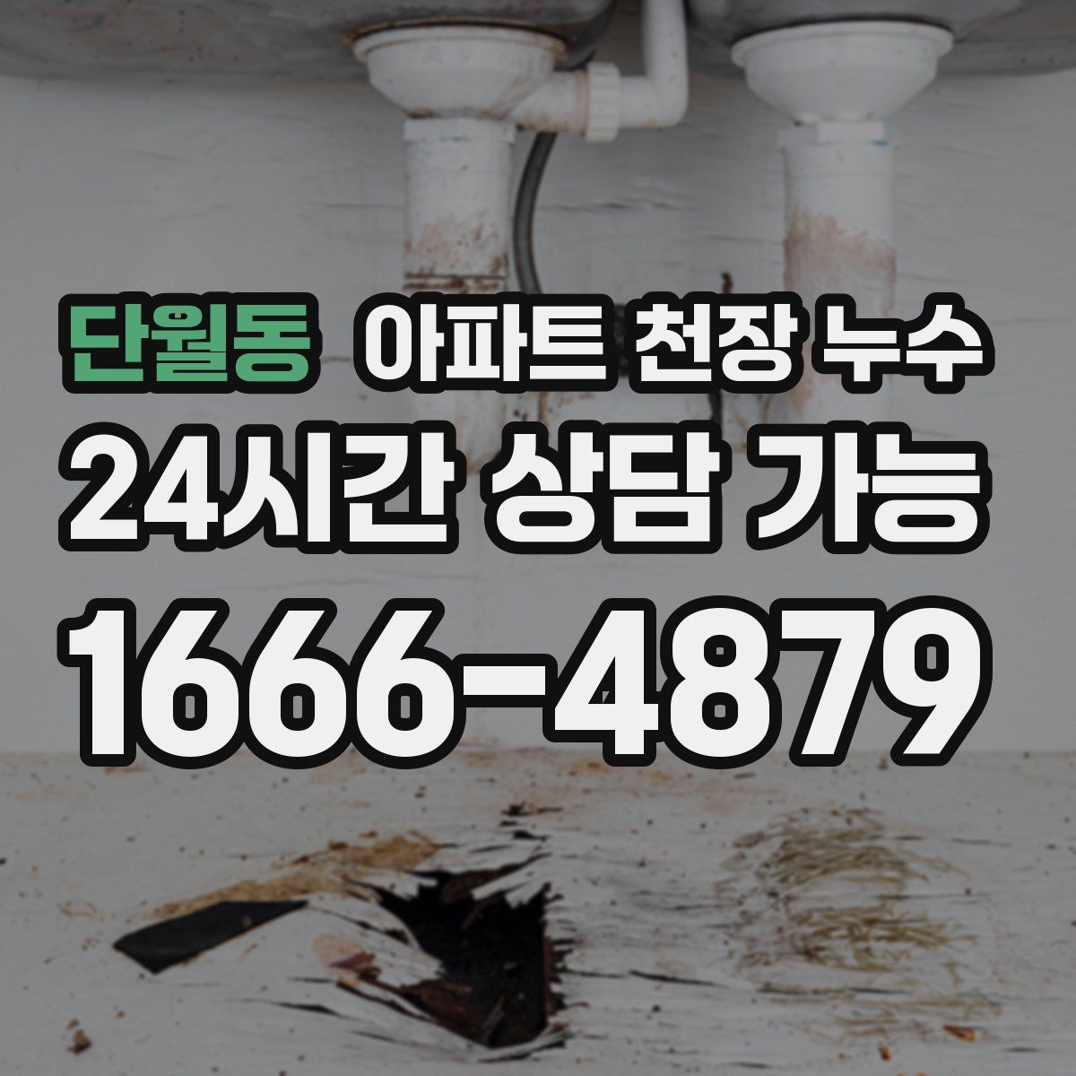 단월동 아파트 천장 누수