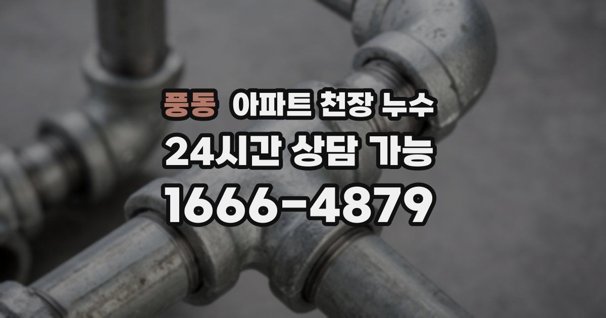 풍동 아파트 천장 누수