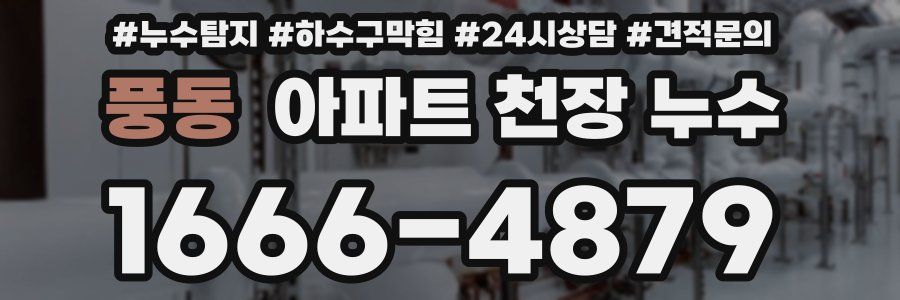 풍동 아파트 천장 누수