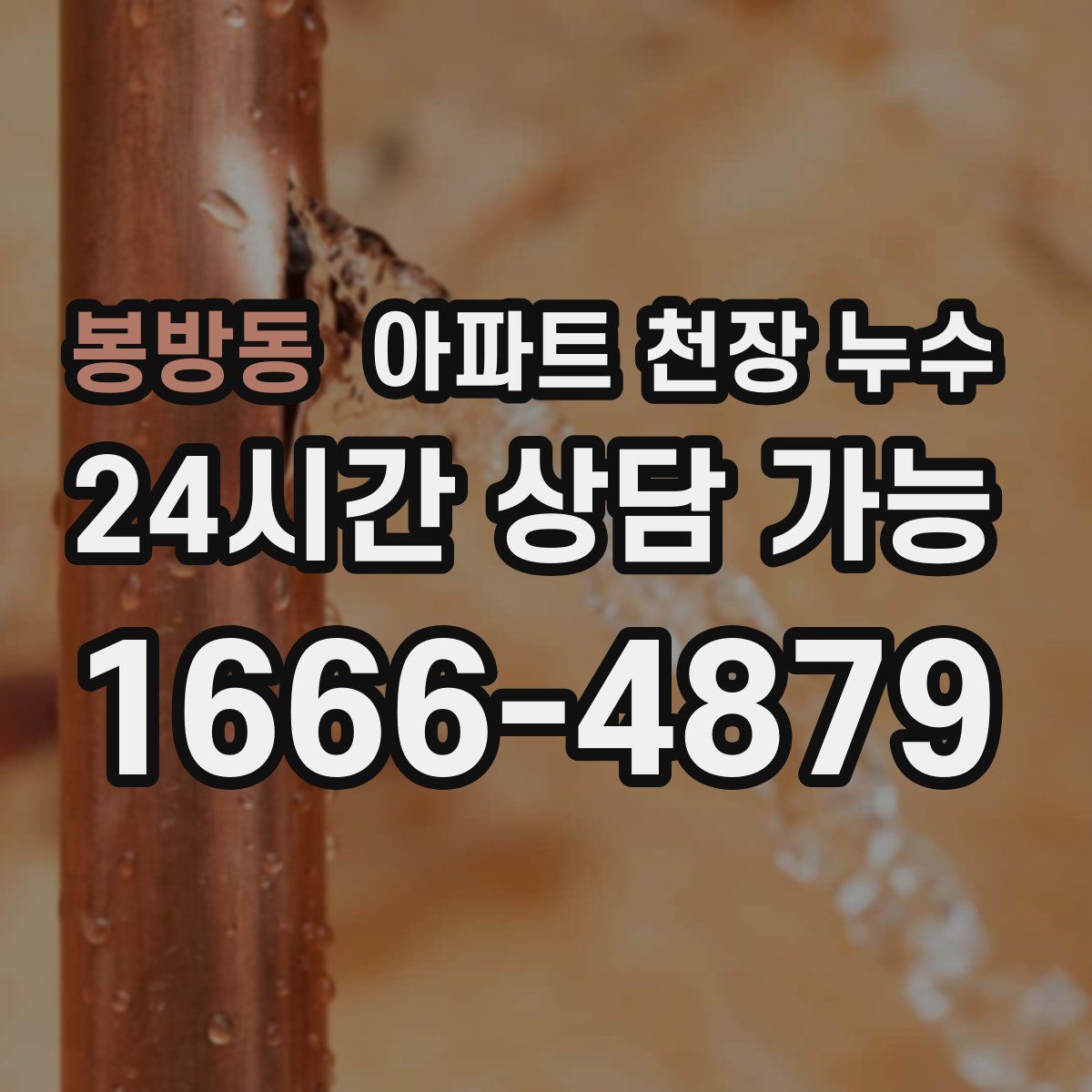 봉방동 아파트 천장 누수